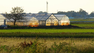 농업경영체 등록조건 및 필요서류 혜택