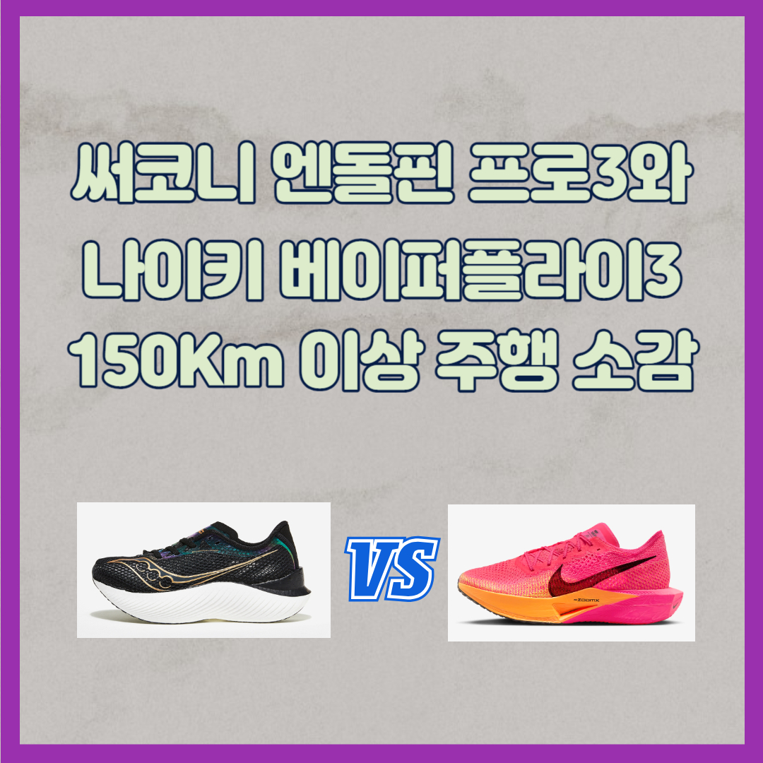 써코니 엔돌핀 프로3와 나키 베이퍼플라이3 주행소감