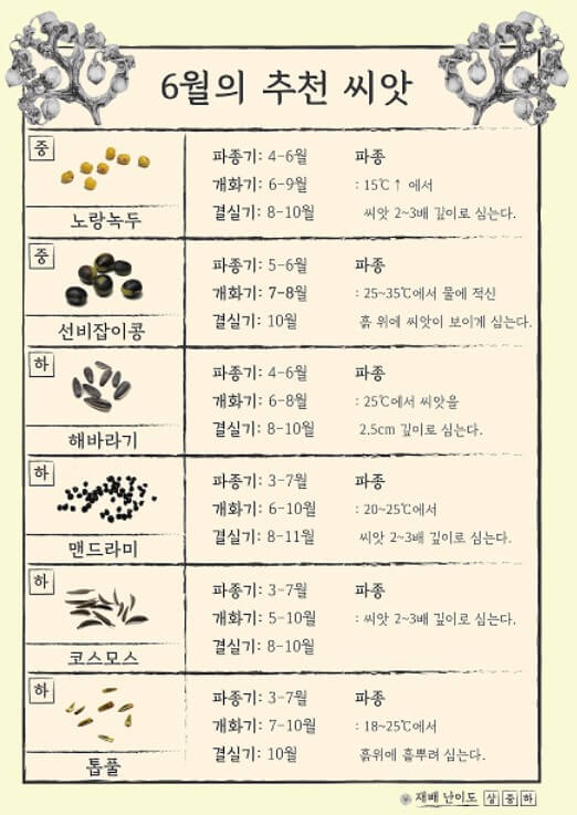 6월 추천 씨앗
