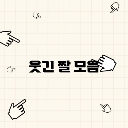 웃긴 짤 모음