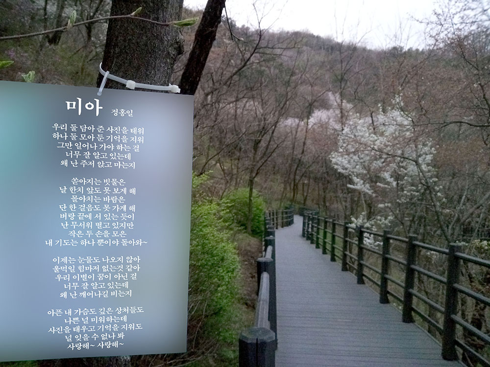 정홍일(JeongHongil)의 '미아(Lost Child)