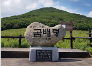 곰배령 예약 