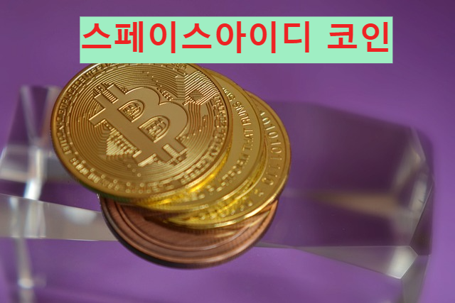 스페이스아이디 코인