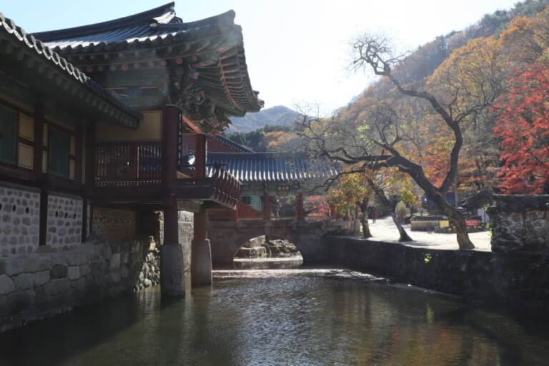 순천 선암사 송광사 단풍 트레킹 코스 및 주차, 맛집, 주변명소 사진