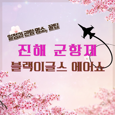 2025 진해군항제 블랙이글스 에어쇼 일정, 관람 명당