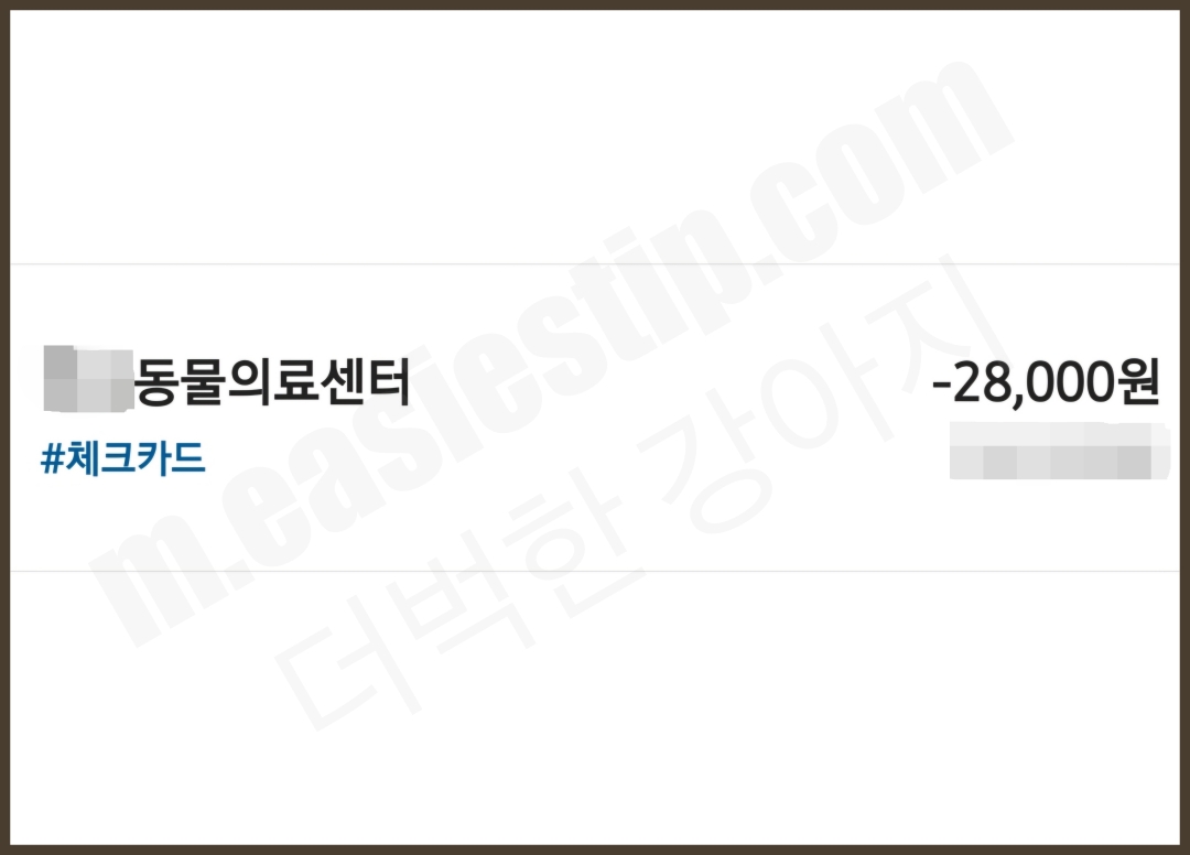 강아지 유치 송곳니 발치 비용