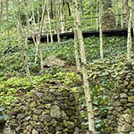 화담숲 단풍 절정시기