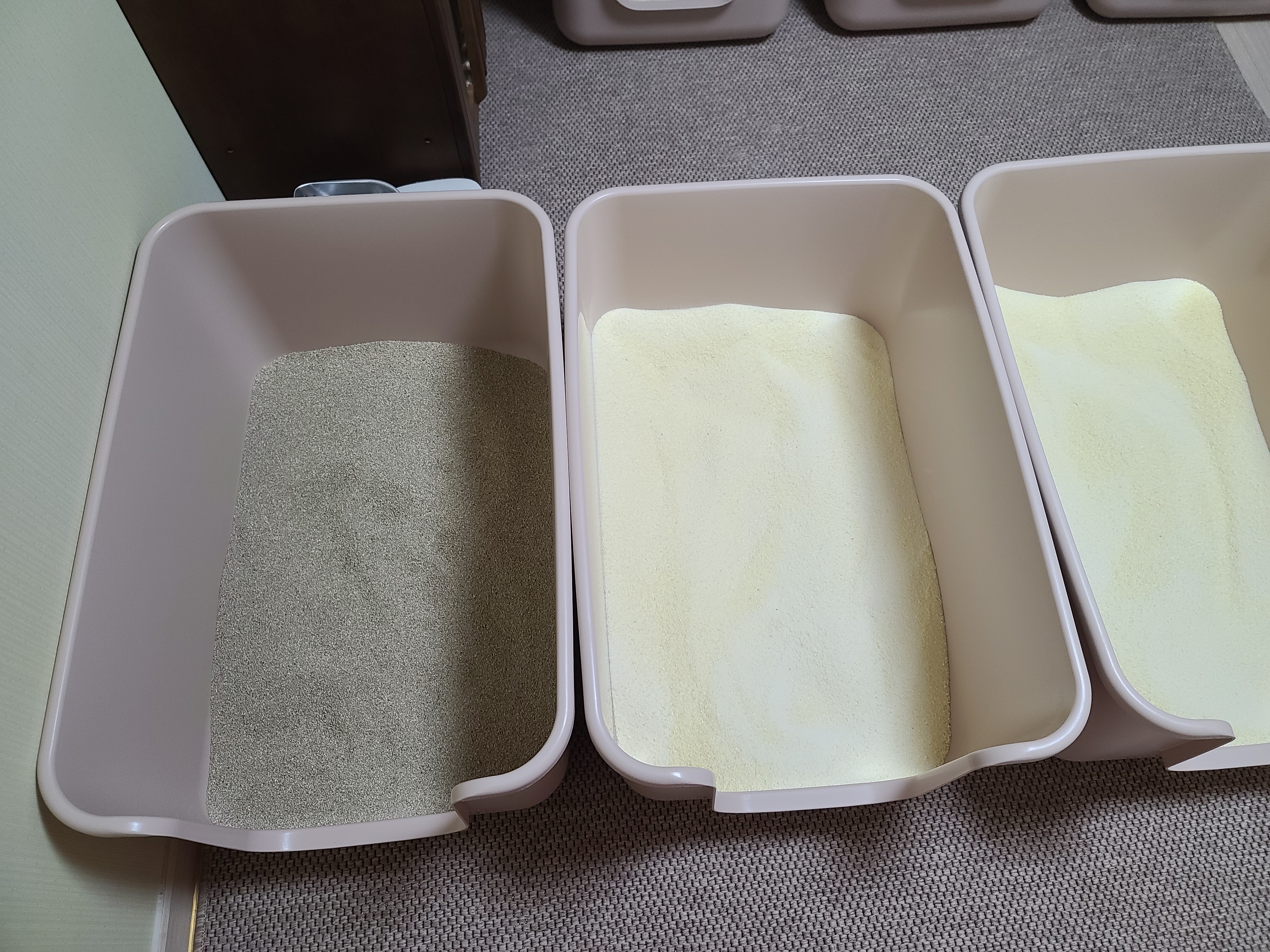 또다시 돌아온 고양이들 화장실모래전체갈이!(feat.미우타임즈와 써유)