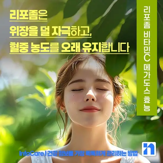 리포좀 비타민C 메가도스 효능