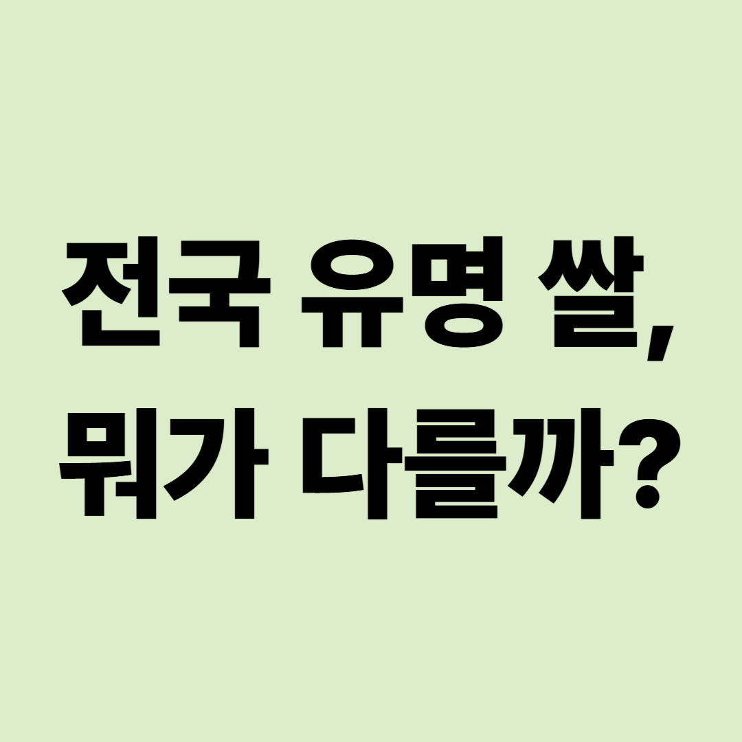 전국 유명 쌀 종류 총정리|지역별 대표 쌀과 품종별 밥맛 차이