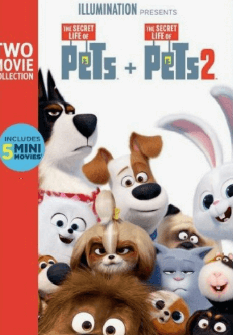 반려견들의 웃긴 표정들 사진