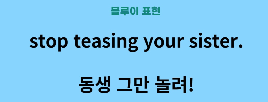 외국어 공부 영어 배우기 ( 디즈니 플러스 블루이 표현 1 )