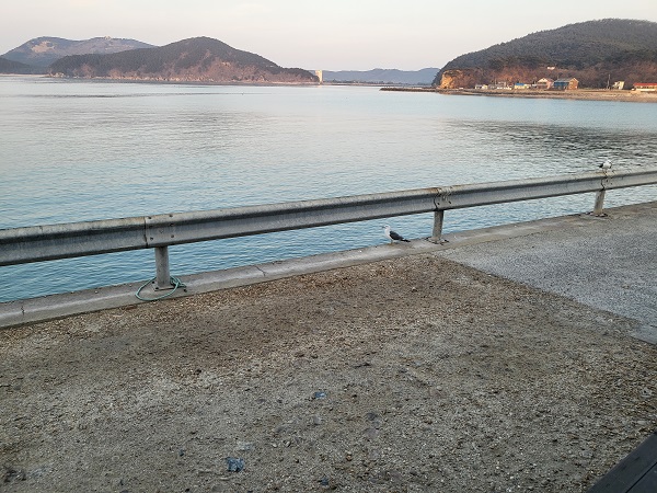 태안 신진도 마야회집-6