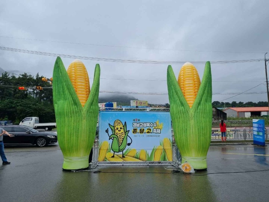 경남고성옥수수축제 전경