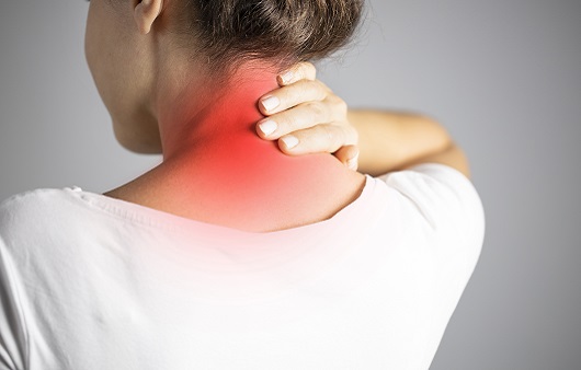 버섯목 중후군 관련 사진