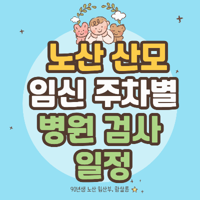 임신 주차별 병원 검사 일정 총정리