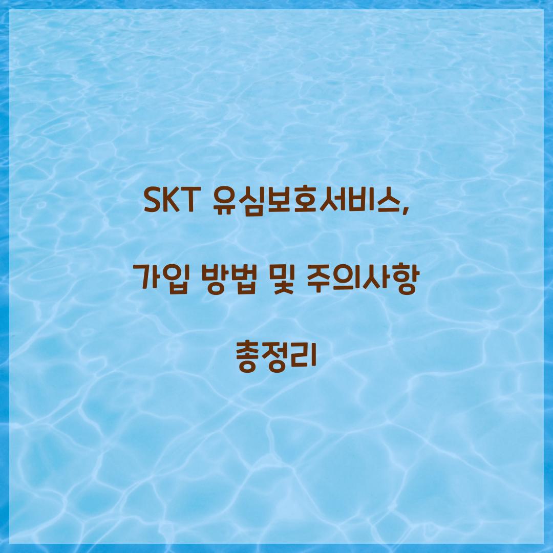 SKT 유심보호서비스