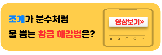 조개해감하는방법