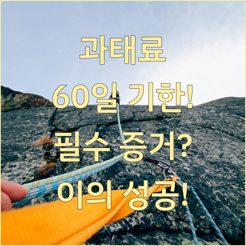 과태료 이의신청 성공을 위한 60일 ..