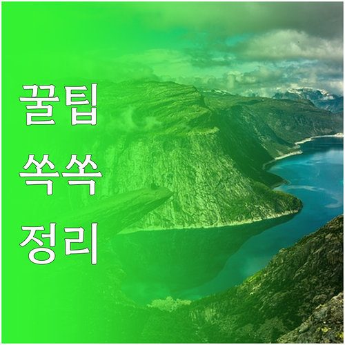 여행 짐싸기 고민 해결: 필요한 것만..