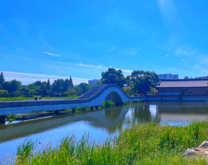 전주 덕진공원 꽃길