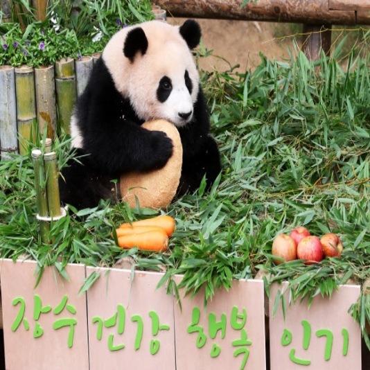 푸바오