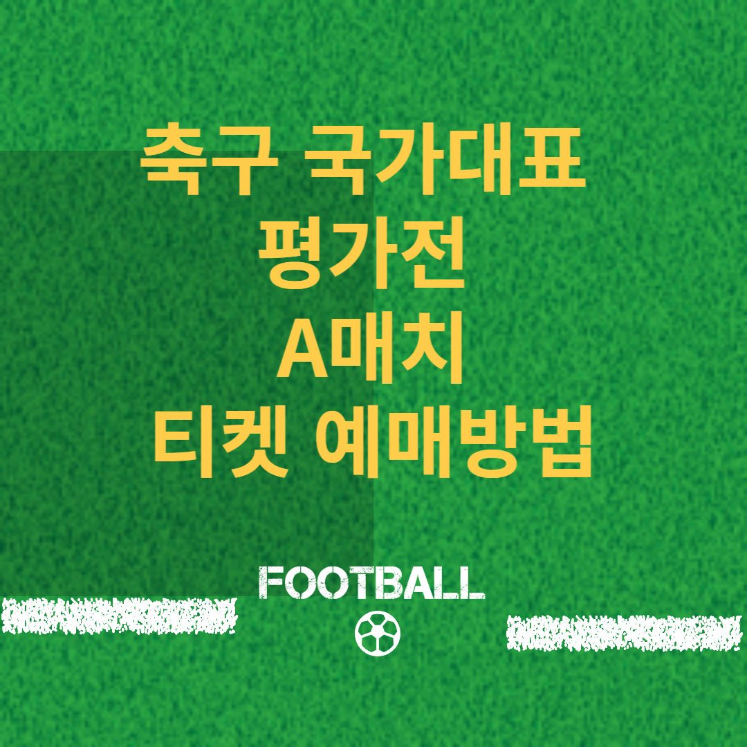 축구 국가대표 평가전 썸네일