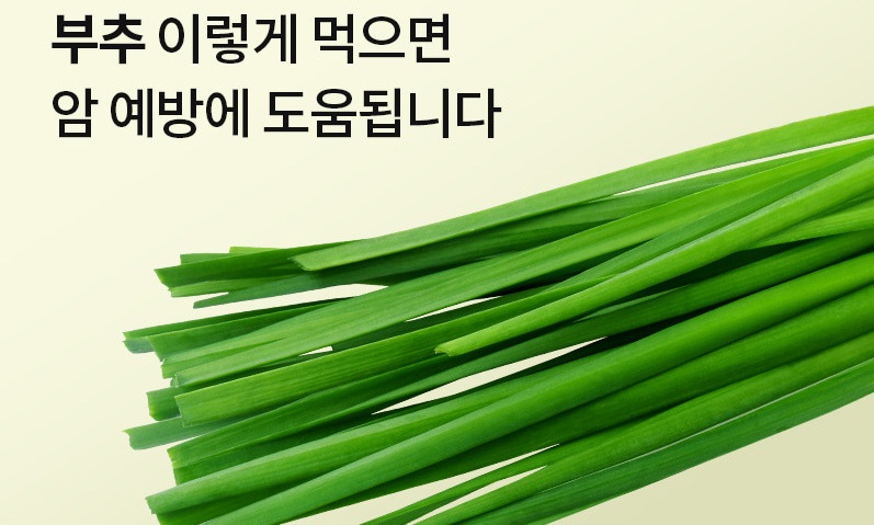 부추 이렇게 먹으면 암예방에 도움됩니다