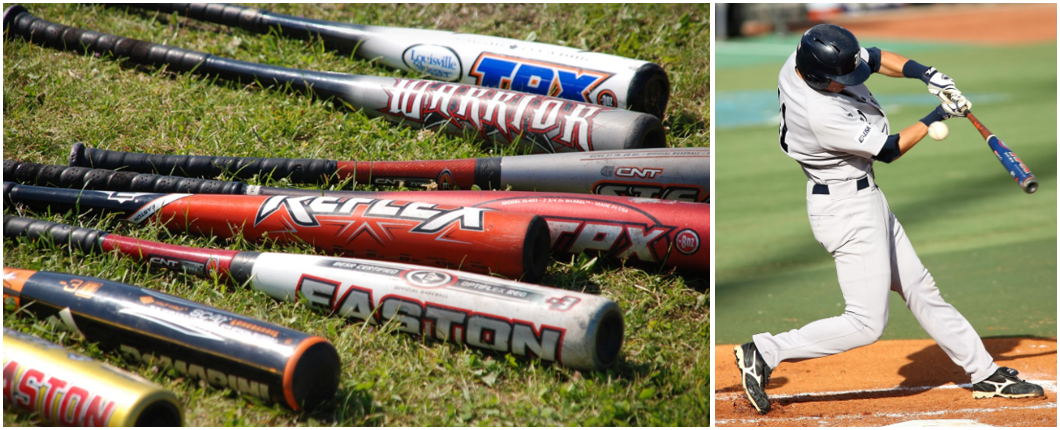 야구 관련 사진