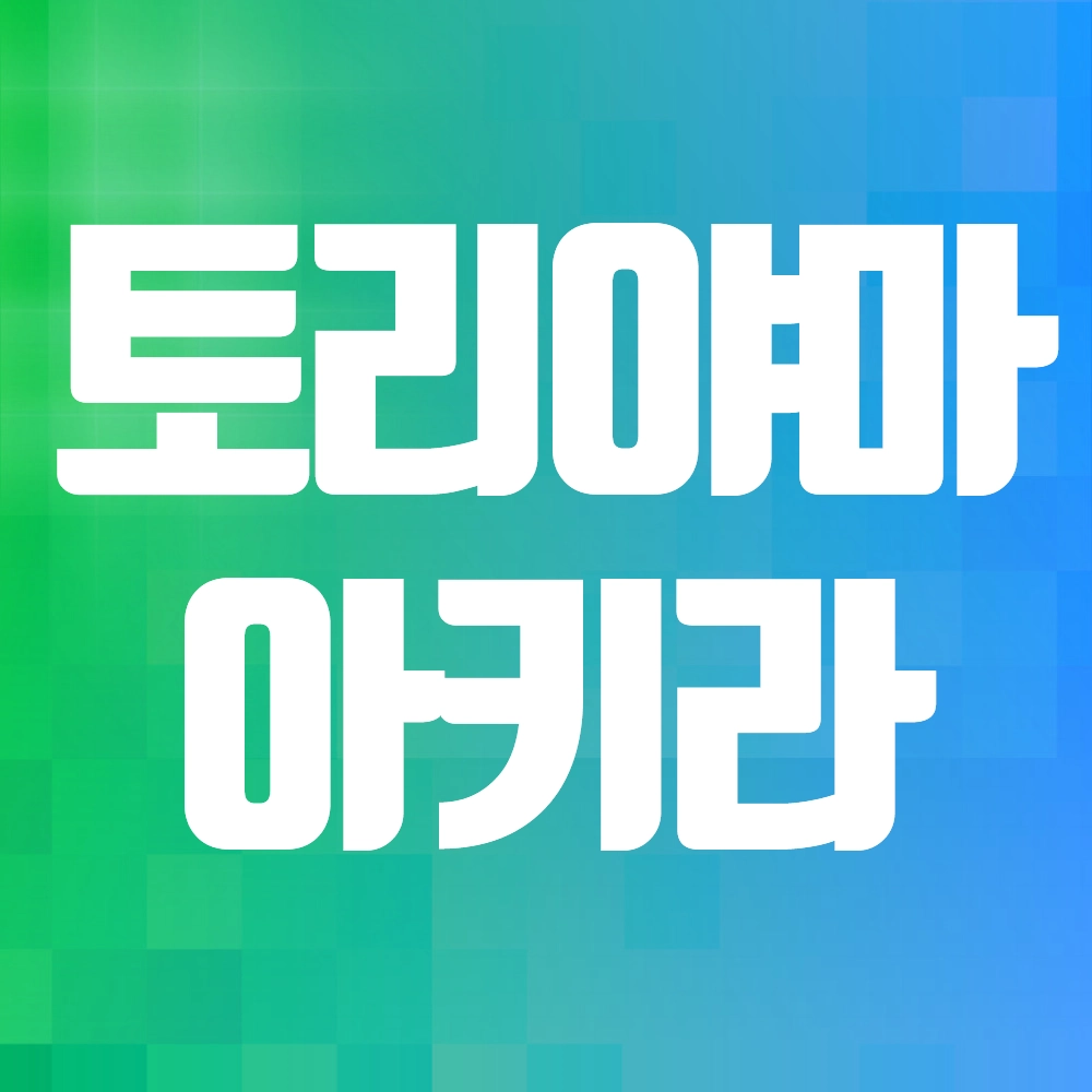 토리야마 아키라 알아보기