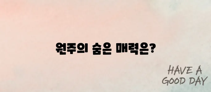 원주 가볼만한곳 베스트10