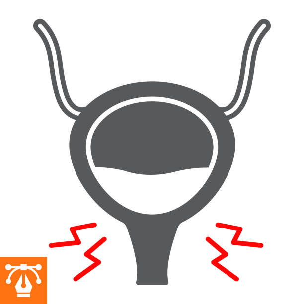 성인 야간뇨 원인