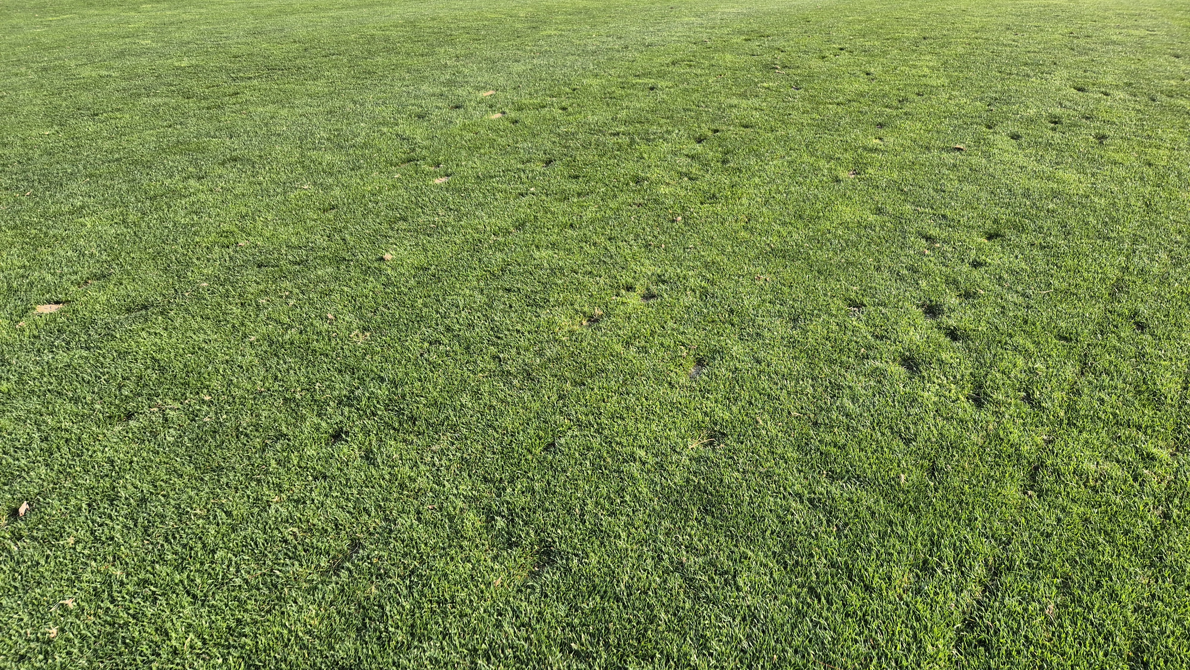 소노펠리체cc 비발디파크 웨스트