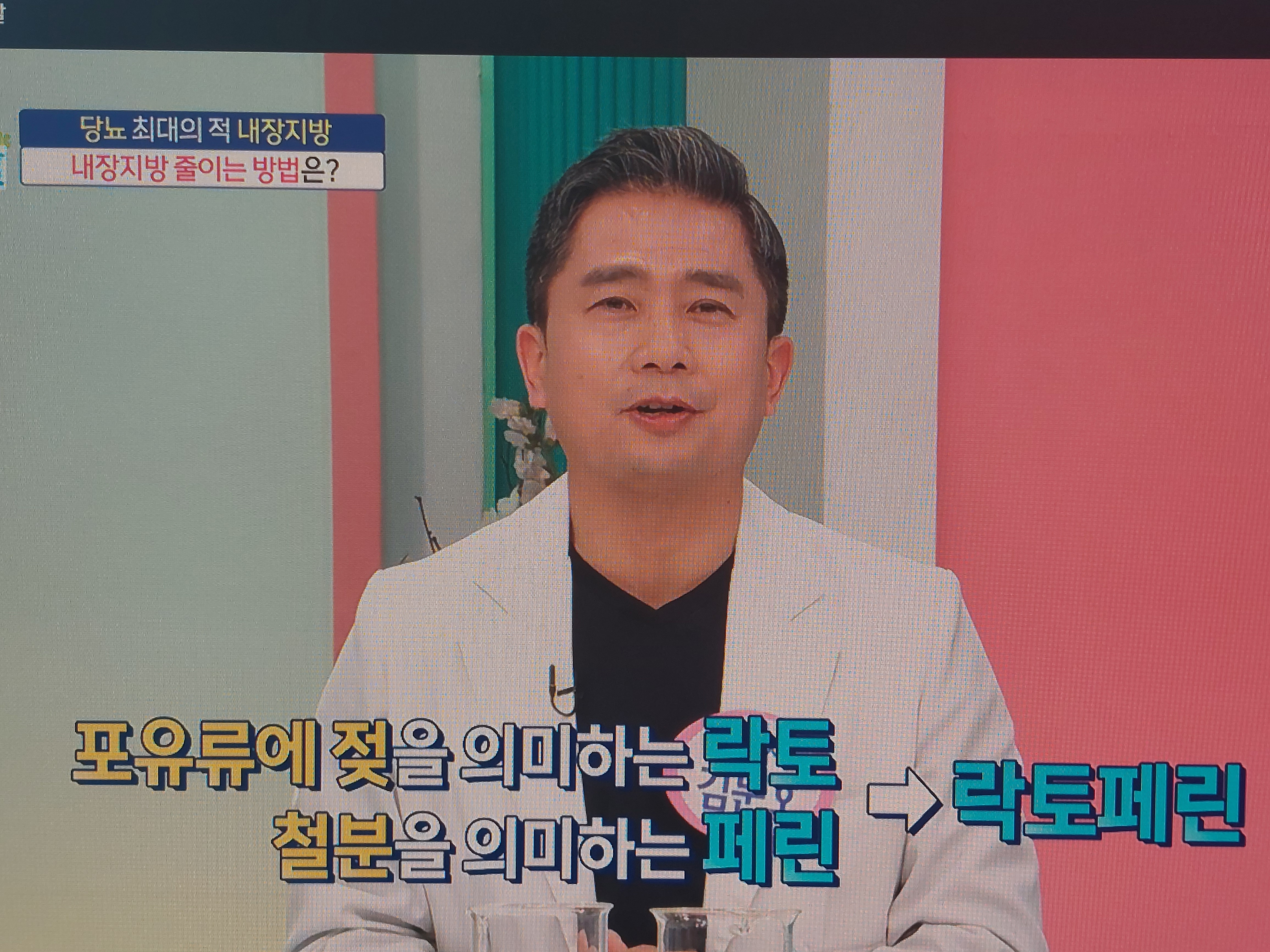 락토페린 효능