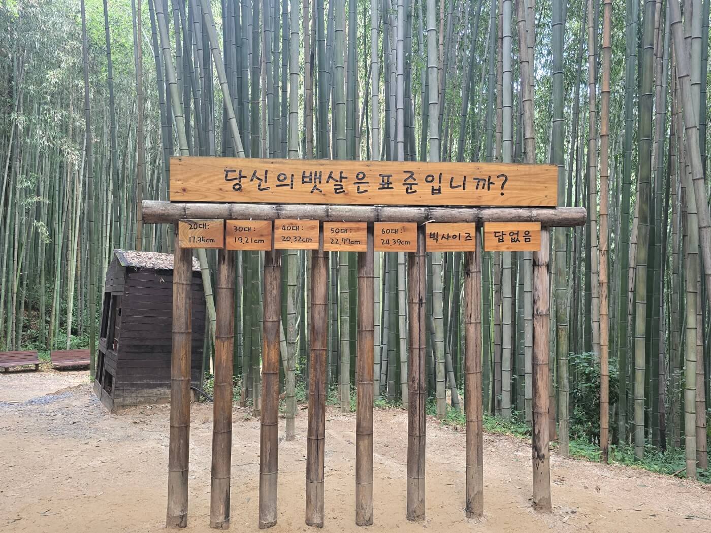 이정표-당신의 뱃살은