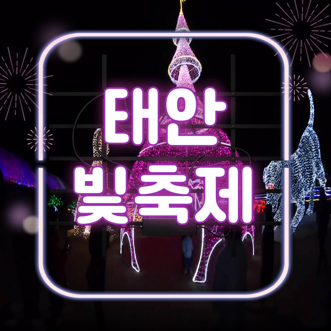 태안 빛 축제 장소 입장료 입장시간 반려견 동반