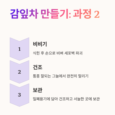 감잎차 만드는법: 비비기&amp;#44; 건조&amp;#44; 보관