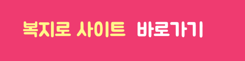 노인 맞춤 돌봄 서비스
