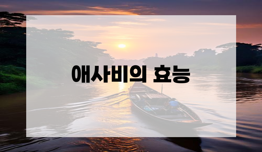애사비의 효능