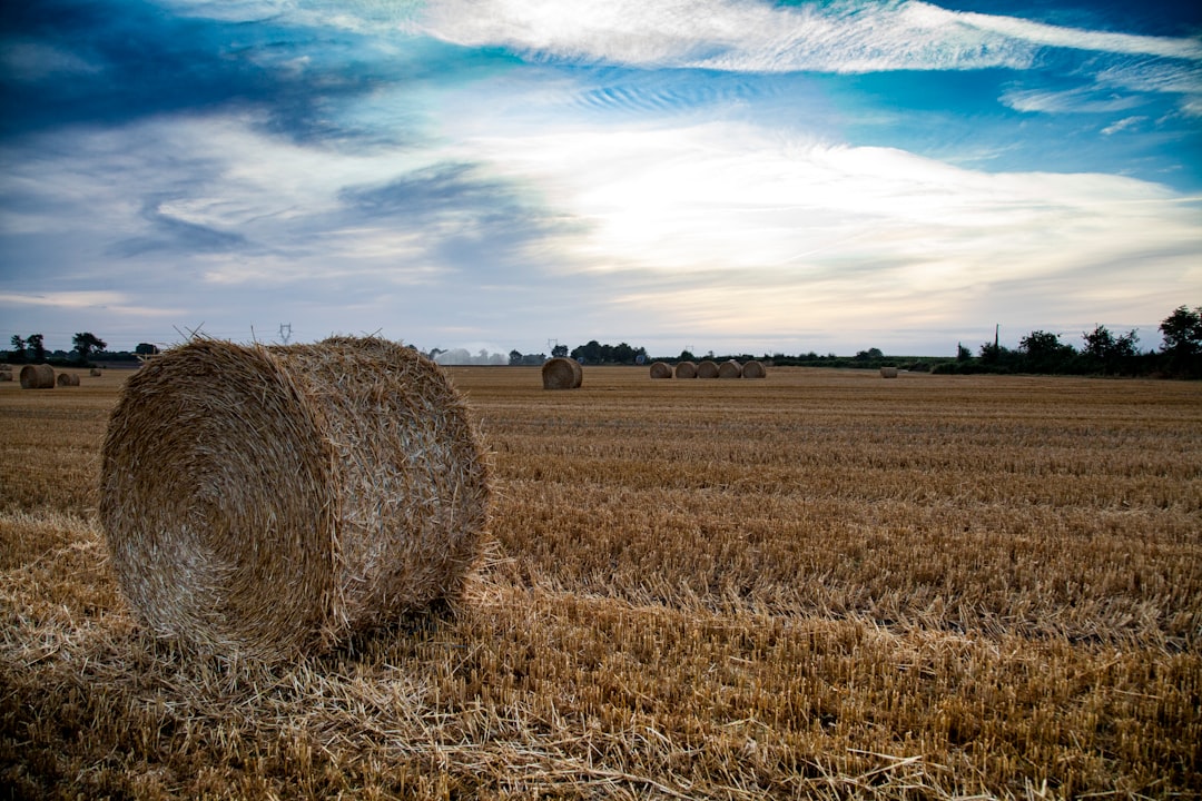 Agricultural
