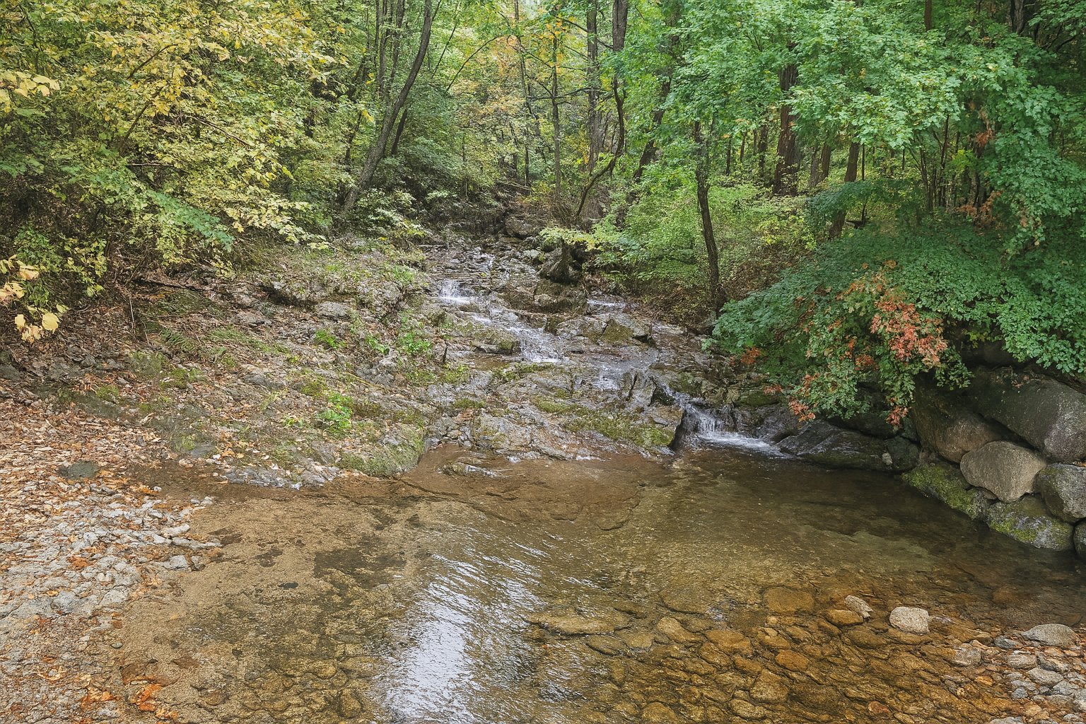 산음자연휴양림 계곡