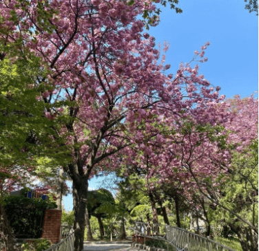 인천 자유공원-인스타그램출저