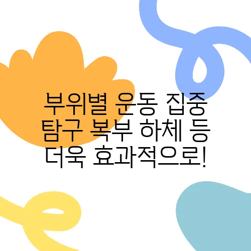 부위별 운동 집중 탐구 복부 하체 등 더욱 효과적으로!