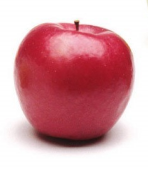 가을-제철-과일-사과