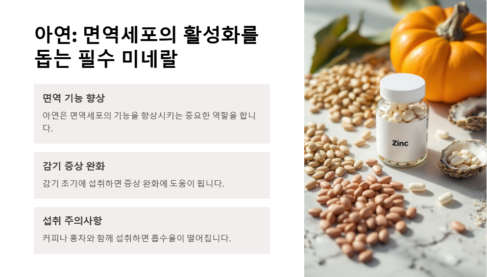 면역력 강화 보조제 추천