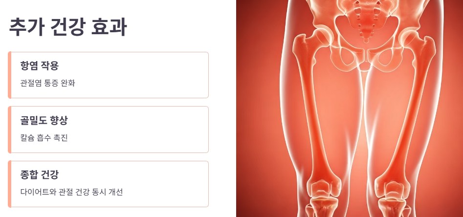 염증 및 관절 건강 개선