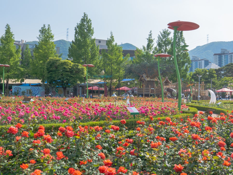 부산 정관 윗골공원