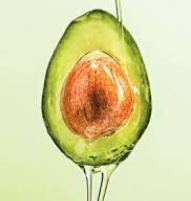 아보카드오일