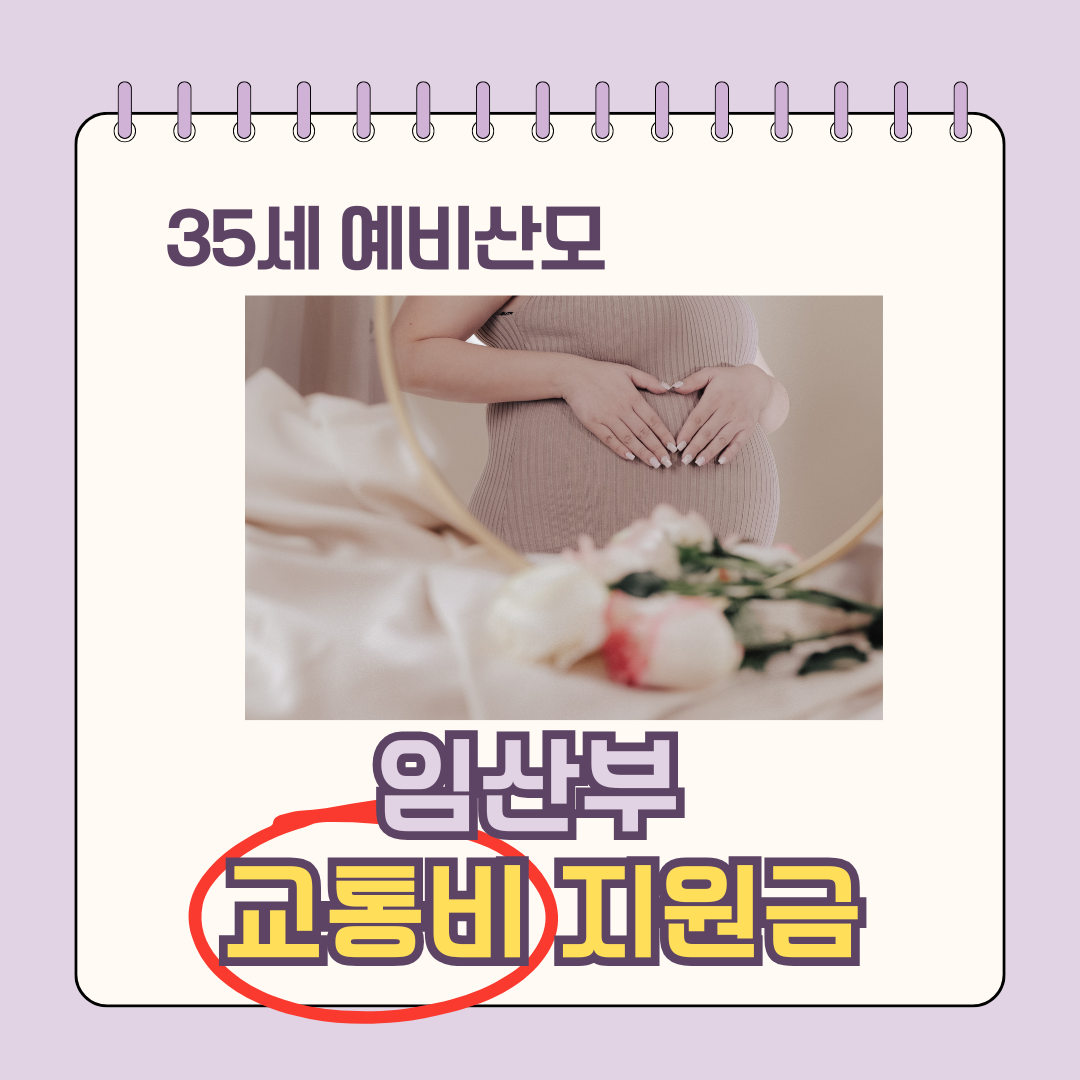 임산부 교통비 지원