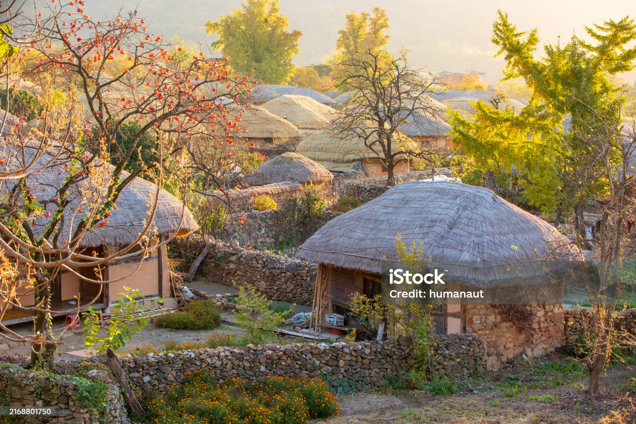 전남 여행 - 순천
